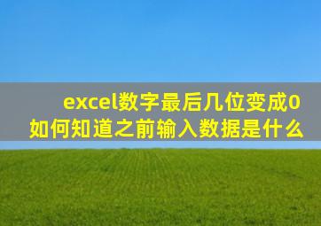 excel数字最后几位变成0 如何知道之前输入数据是什么